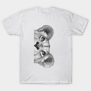 The lioness T-Shirt